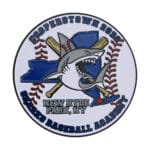 Sharks baseball pin with 2 colorways